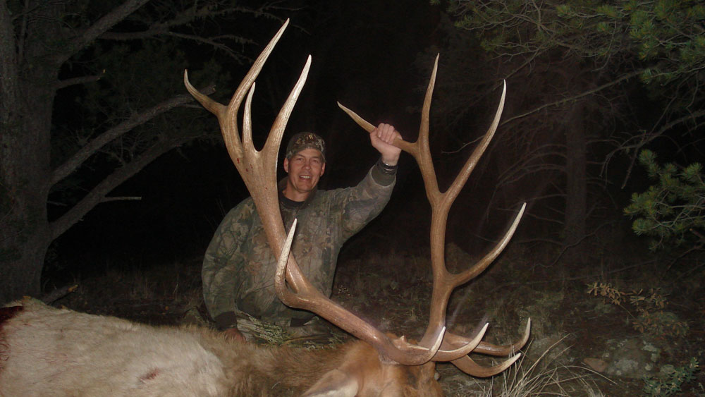 new mexico elk hunts 4