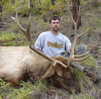 new mexico elk hunts 27