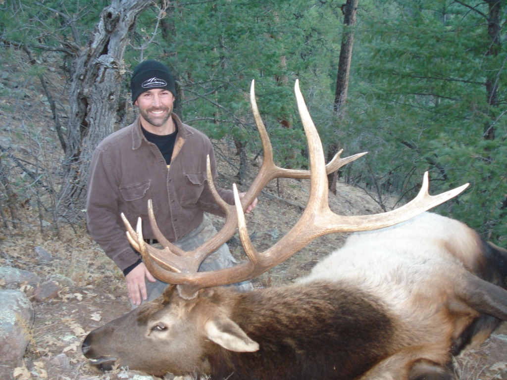 new mexico elk hunts 43