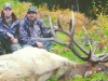 new mexico elk hunts 17