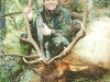 new mexico elk hunts 19