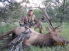 new mexico elk hunts 34