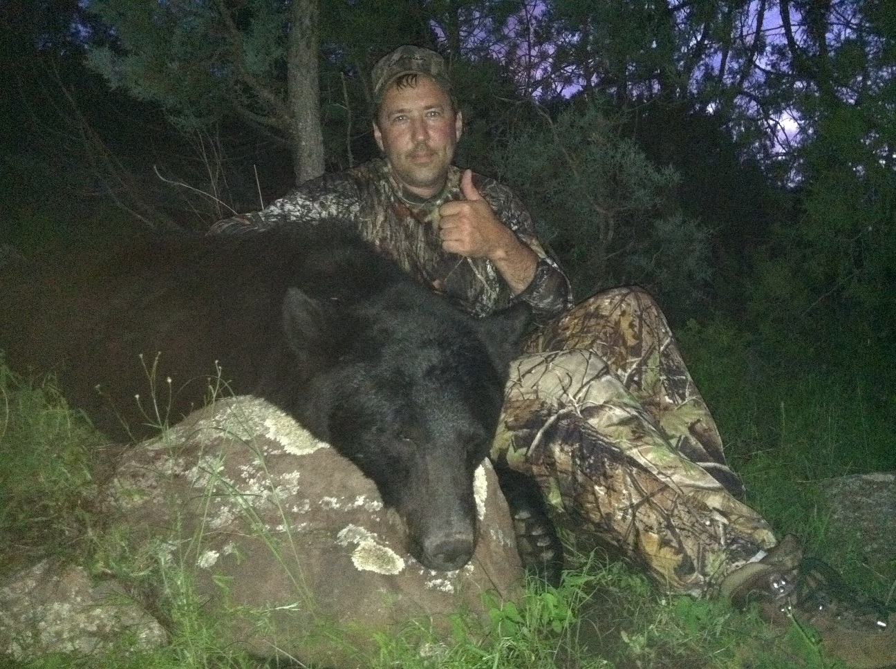 new mexico black bear hunting