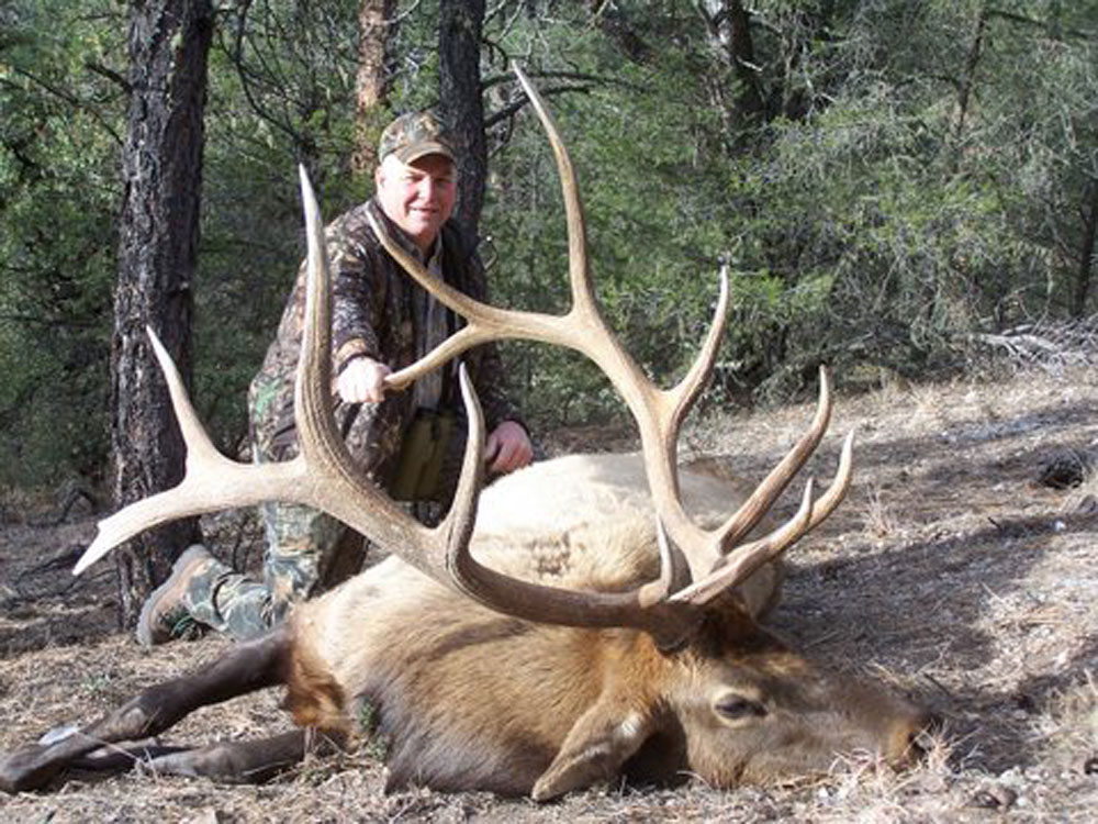 new mexico elk hunts 7