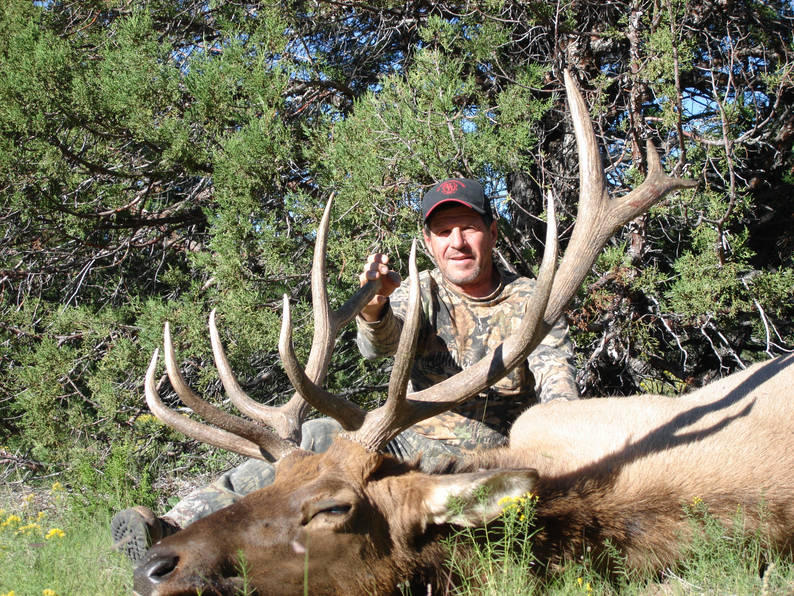 new mexico elk hunts 33
