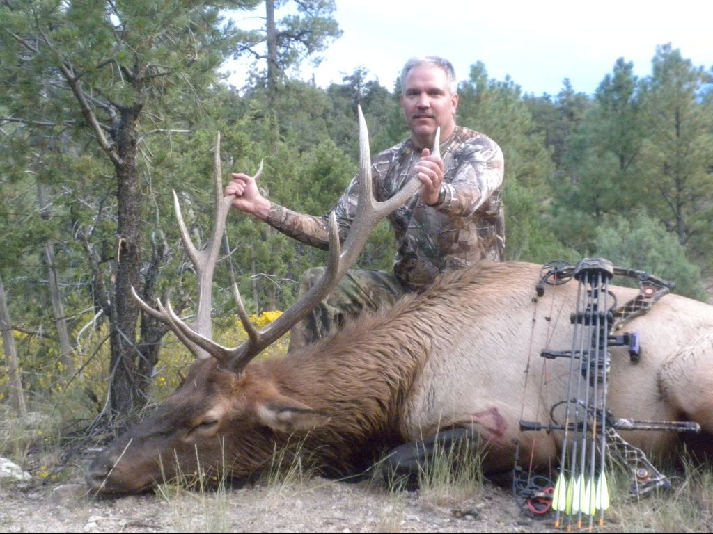 new mexico elk hunts 29