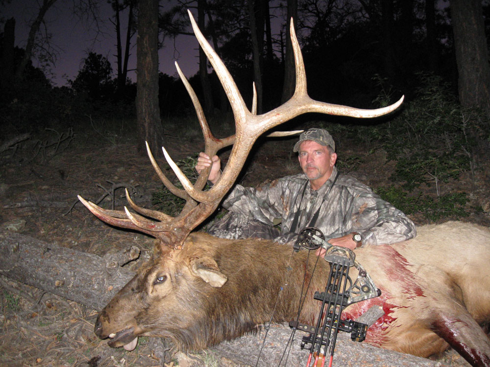 new mexico elk hunts 3