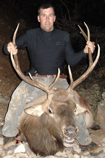 new mexico elk hunts 13