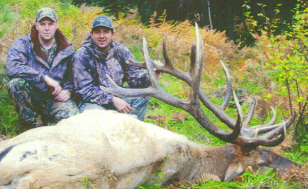 new mexico elk hunts 17