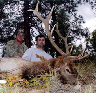 new mexico elk hunts 23