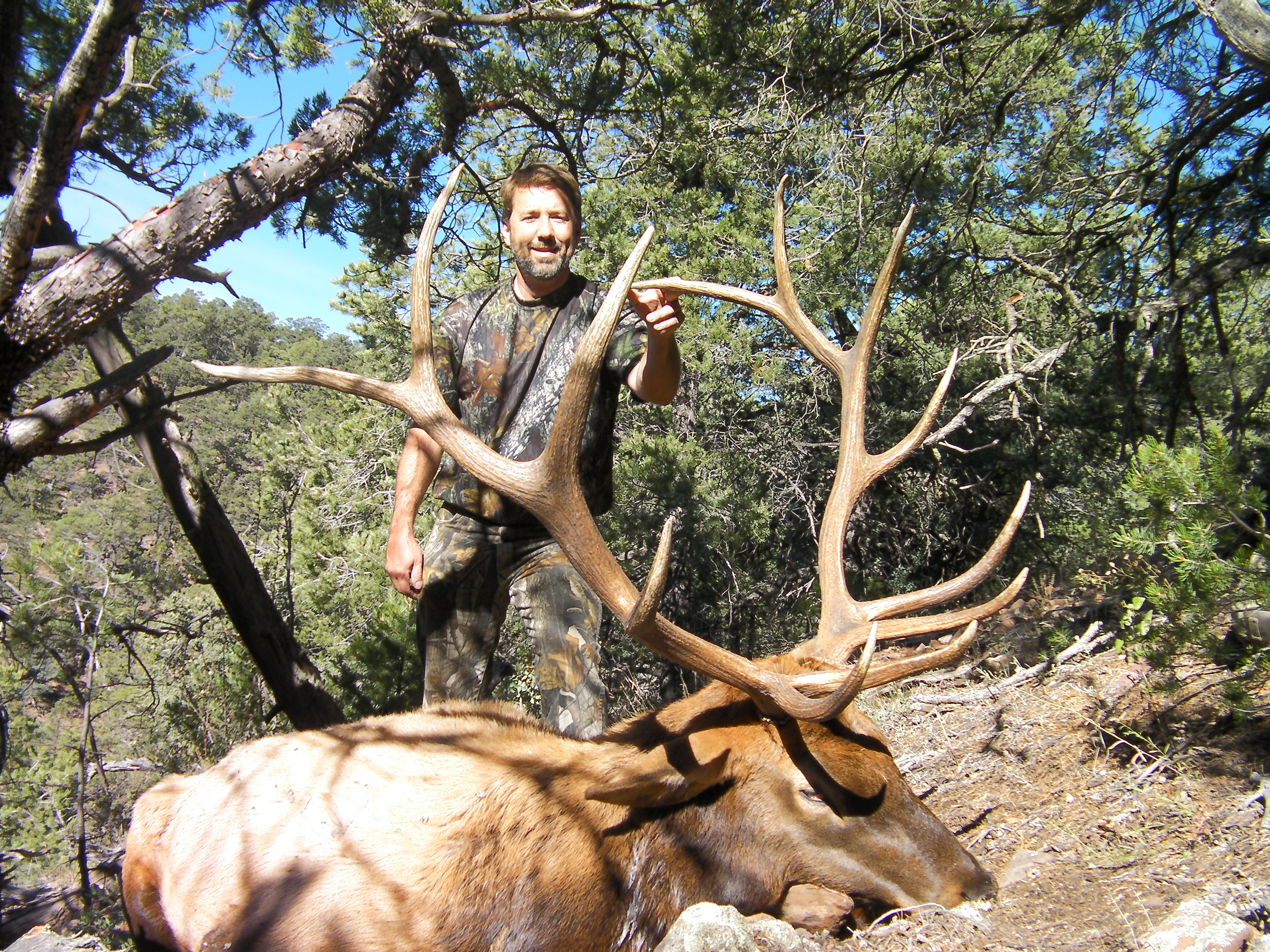 new mexico elk hunts 30