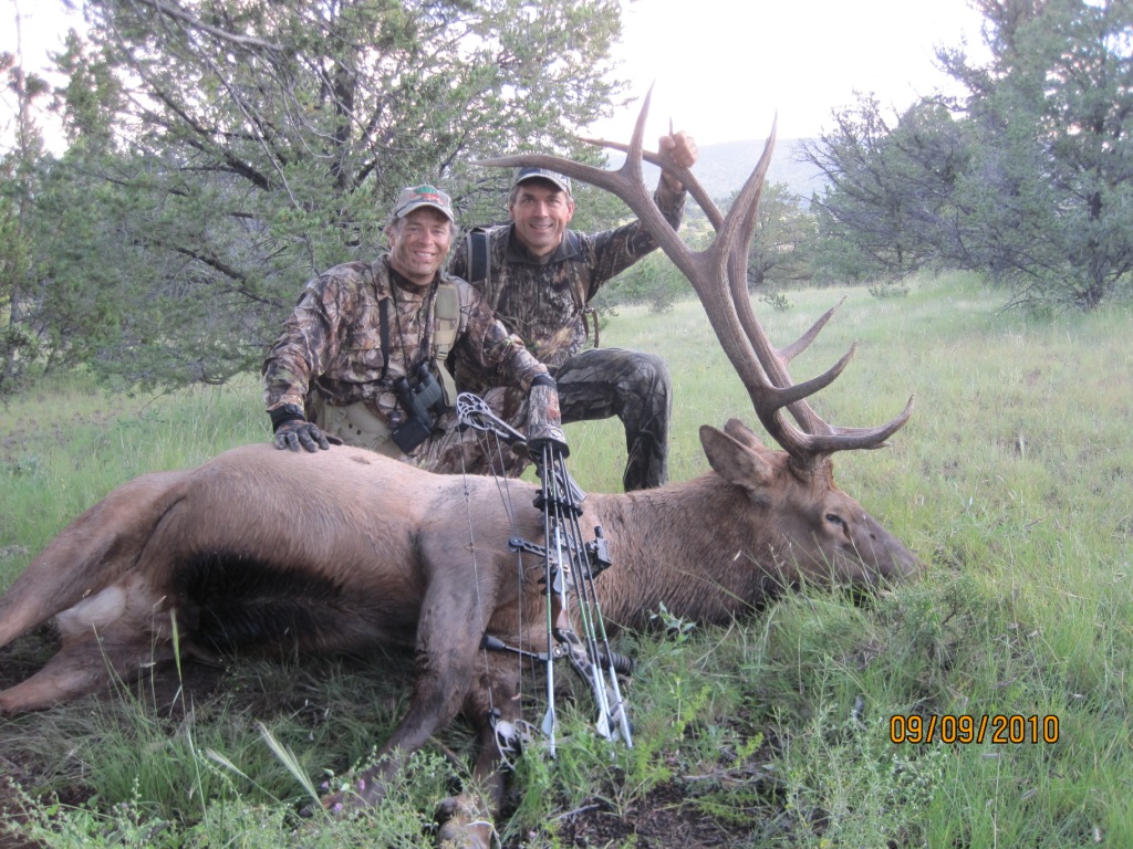 new mexico elk hunts 35