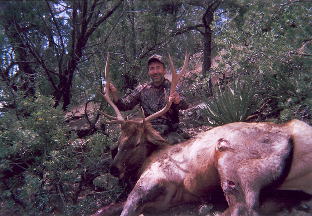 new mexico elk hunts 2