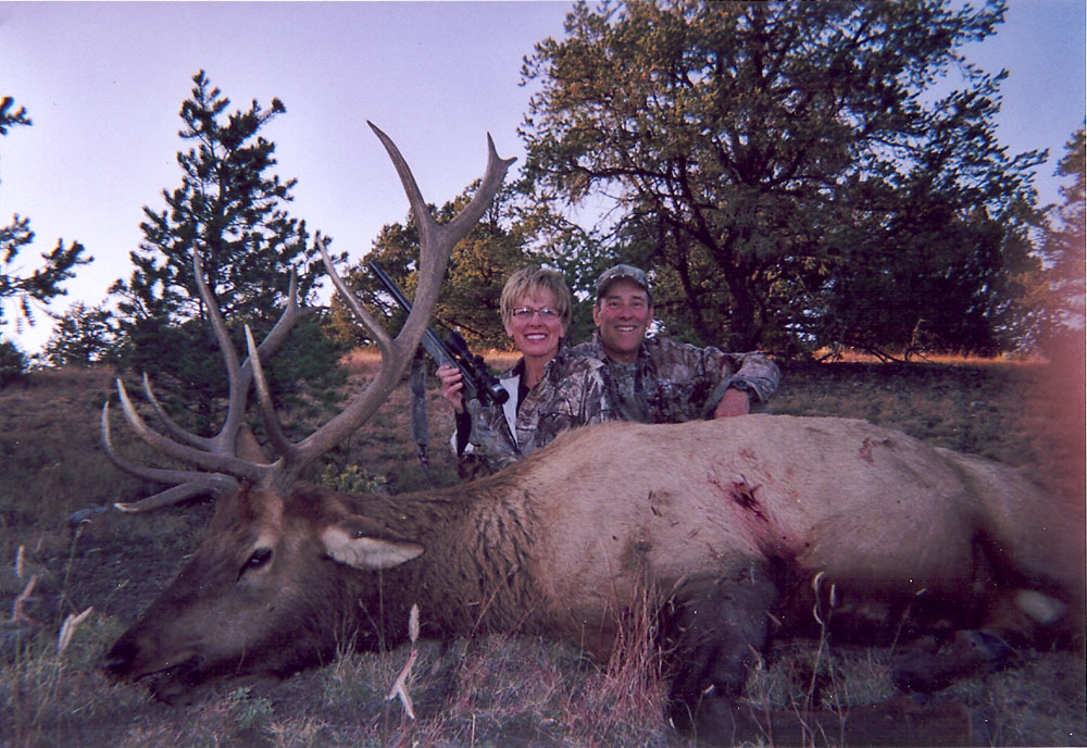 new mexico elk hunts 1