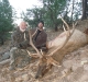new mexico elk hunts 41