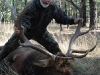 new mexico elk hunts 15