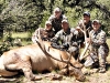 new mexico elk hunts 31
