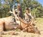 new mexico elk hunts 32
