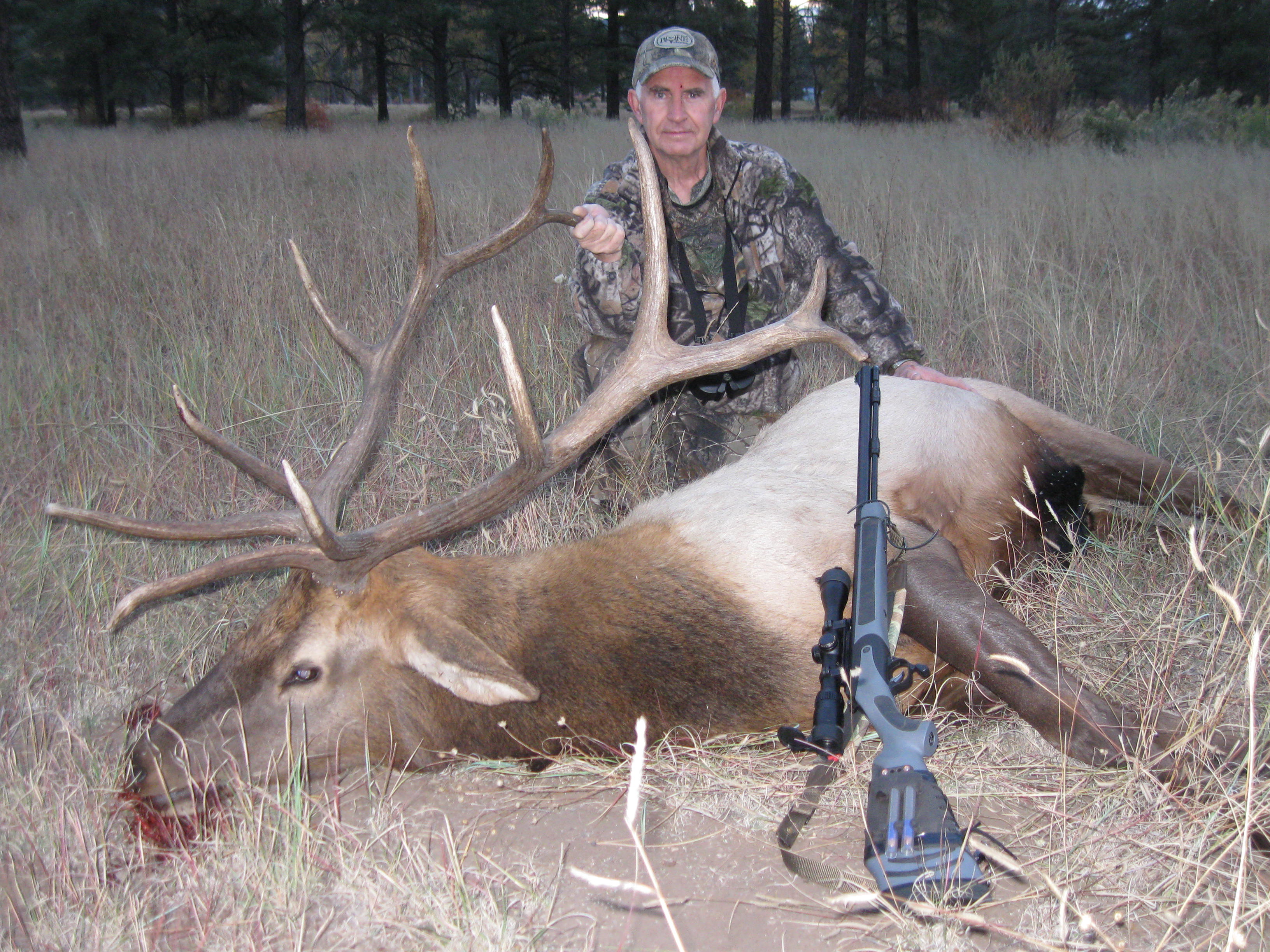 new mexico elk hunts 39