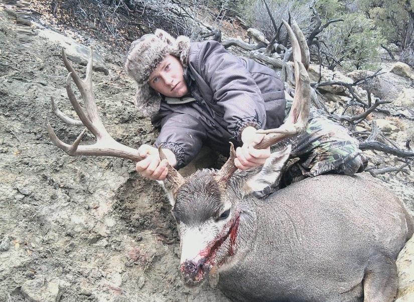 new mexico mule deer hunts 12