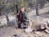 new mexico mule deer hunts 2