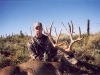 new mexico mule deer hunts 3