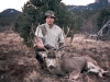 new mexico mule deer hunts 4