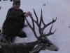 new mexico mule deer hunts 10