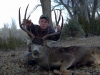 new mexico mule deer hunts 11